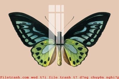 File PSD File gốc in tranh tổng hợp K49606 (bản gốc) chất lượng nhất