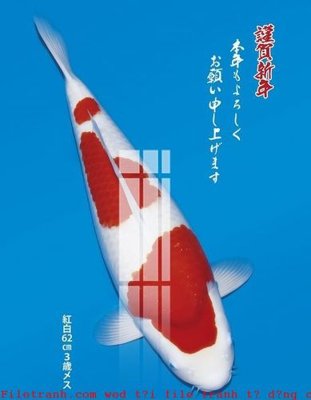 Chi tiết file gốc File gốc in tranh tổng hợp K49774 (cho in tráng gương)