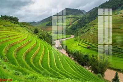 File tranh gốc File gốc in tranh tổng hợp K4978 (bản quyền) file PSD