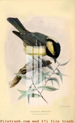 File tranh trang trí File gốc in tranh tổng hợp K49861 (file gốc)