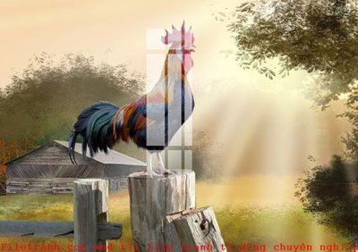 File tranh quảng cáo File gốc in tranh tổng hợp K50116 (file gốc) chuyên nghiệp