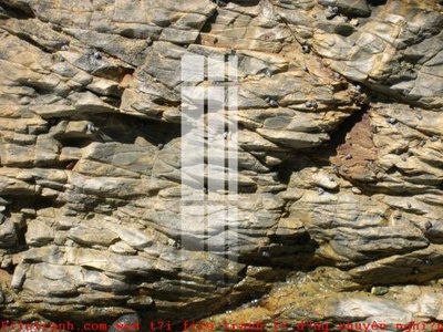 File tranh File gốc in tranh tổng hợp K50214 (ảnh gốc) độ nét vượt trội