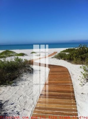 File tranh File gốc in tranh tổng hợp K50233 (gốc) in film