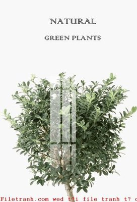 File tranh File gốc in tranh tổng hợp K50245 (gốc) phong cách tối giản