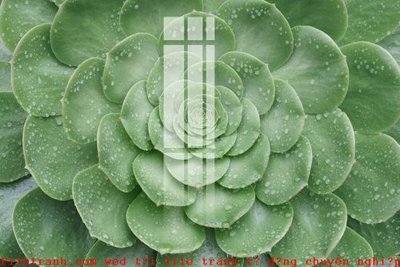 Tải file gốc File gốc in tranh tổng hợp K50785 (bản PSD) gốc