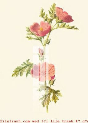 File tranh File gốc in tranh tổng hợp K50974 (gốc) chủ đề thiên nhiên