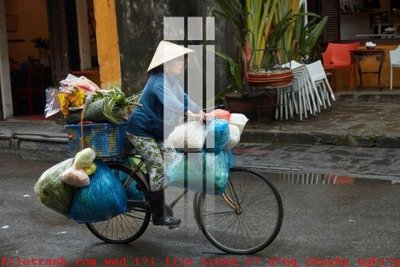 File tranh File gốc in tranh tổng hợp K50979 (gốc) in trên kính