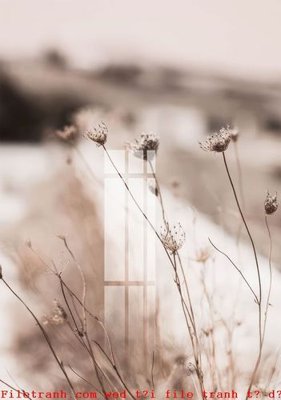 File tranh File gốc in tranh tổng hợp K51184 (ảnh gốc) in trần 3D