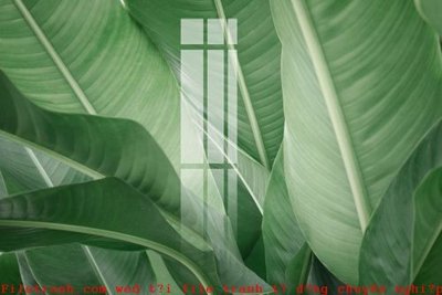 File ảnh File gốc in tranh tổng hợp K51232 (gốc) in Hiflex