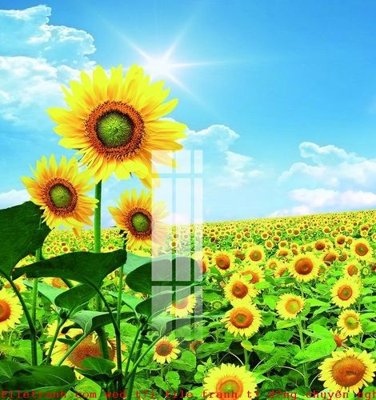 File in mica File gốc in tranh tổng hợp K51545 (bản gốc) siêu trong