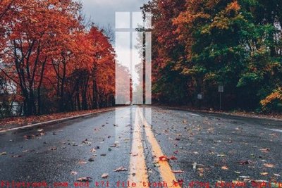 File gốc File gốc in tranh tổng hợp K51734 (cho in 3D) độc đáo