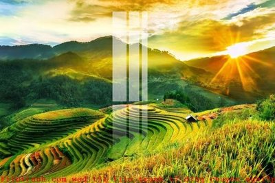 Tải file gốc File gốc in tranh tổng hợp K51758 (bản PSD) gốc