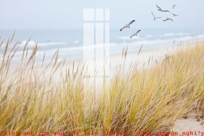 File tranh File gốc in tranh tổng hợp K51783 (gốc) chủ đề thành phố