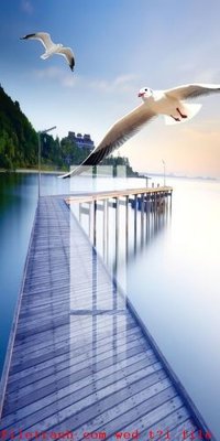 File gốc File gốc in tranh tổng hợp K51787 (chuẩn màu) cho in offset