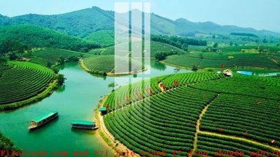 File tranh File gốc in tranh tổng hợp K51806 (gốc) in backlit film