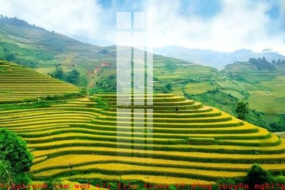 Tải file tranh File gốc in tranh tổng hợp K51852 (ảnh gốc) ngay