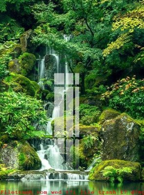 File gốc File gốc in tranh tổng hợp K51868 (in lụa) họa tiết 3D