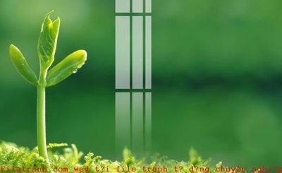 File gốc File gốc in tranh tổng hợp K51972 (ảnh chi tiết) để in lụa