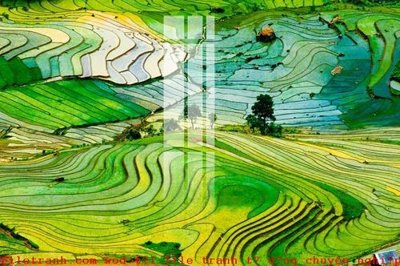 File gốc File gốc in tranh tổng hợp K52325 (PNG) nền trong suốt