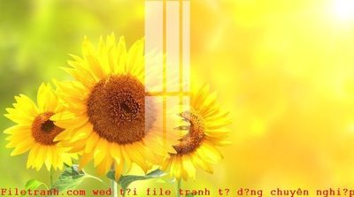 Download file gốc File gốc in tranh tổng hợp K52368 (in mica) trong suốt