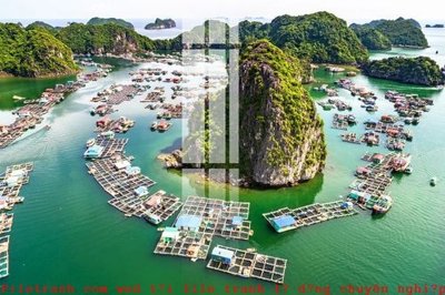 File tranh File gốc in tranh tổng hợp K52383 (bản gốc) in lụa 3D