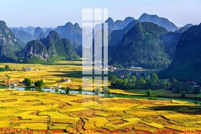 File tranh in mica File gốc in tranh tổng hợp K52385 (độ phân giải cao)