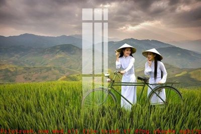 File tranh quảng cáo File gốc in tranh tổng hợp K52395 (download file gốc)