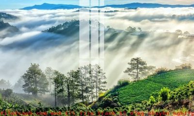 File tranh File gốc in tranh tổng hợp K52396 (gốc) chủ đề thiên nhiên