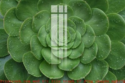 Download file File gốc in tranh tổng hợp K52412 (gốc) in mica ốp bếp