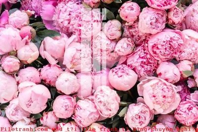 File in trần File gốc in tranh tổng hợp K52423 (bản gốc) hoa văn