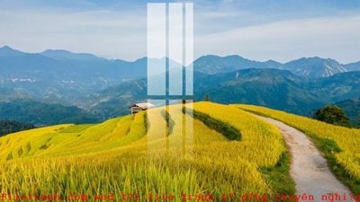 File gốc File gốc in tranh tổng hợp K52503 (in ấn) không giới hạn