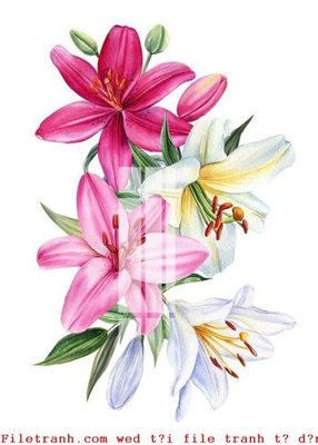 Download file gốc File gốc in tranh tổng hợp K52516 (in lụa) hoa lá