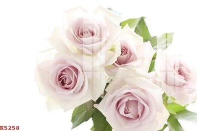 File gốc File gốc in tranh tổng hợp K5258 (in lụa) cao cấp