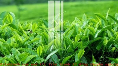 File tranh gốc File gốc in tranh tổng hợp K53446 (sắc nét từng chi tiết)