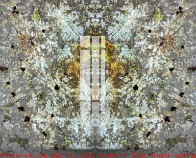 File in trần File gốc in tranh tổng hợp K53655 (file gốc) hoa văn 3D