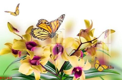 File tranh ảnh gốc File gốc in tranh tổng hợp K5392 dùng cho in khổ lớn