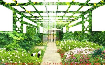 Tải file gốc in lụa File gốc in tranh tổng hợp K53995 siêu nét