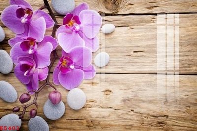 File gốc File gốc in tranh tổng hợp K5403 (trang trí) phòng trẻ em