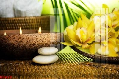 Ảnh gốc file in lụa File gốc in tranh tổng hợp K5429 chi tiết