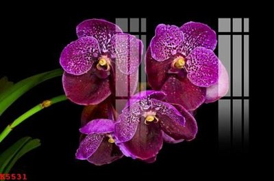 File ảnh File gốc in tranh tổng hợp K5531 (gốc) in decal dán tường