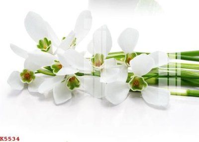 File gốc File gốc in tranh tổng hợp K5534 (PNG) nền trong suốt