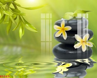 File tranh in tráng gương File gốc in tranh tổng hợp K5565 (siêu nét)