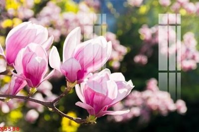 File in lụa File gốc in tranh tổng hợp K5588 (chất lượng cao) File gốc in tranh tổng hợp K5588