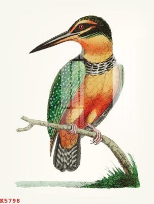 File PSD File gốc in tranh tổng hợp K5798 (nguyên bản) cho thiết kế