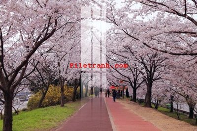 File PSD File gốc in tranh nền tường tổng hợp K59117 (nguyên bản) cho thiết kế