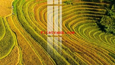 File gốc File gốc in tranh nền tường tổng hợp K59209 (in tráng gương) hiện đại