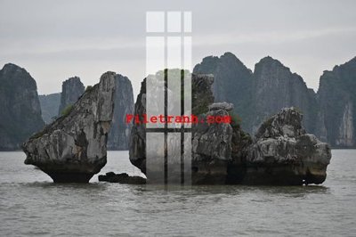 File gốc File gốc in tranh nền tường tổng hợp K59217 (PSD/TIFF) độ phân giải cao