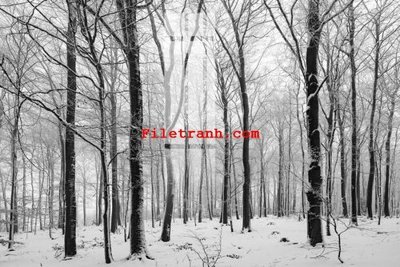 File gốc File gốc in tranh nền tường tổng hợp K59224 (thiết kế) độc quyền