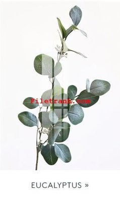 File tranh File gốc in tranh nền tường tổng hợp K59382 (gốc) chủ đề trẻ em