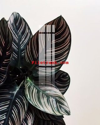 Download file gốc File gốc in tranh nền tường tổng hợp K59386 (in mica) trang trí